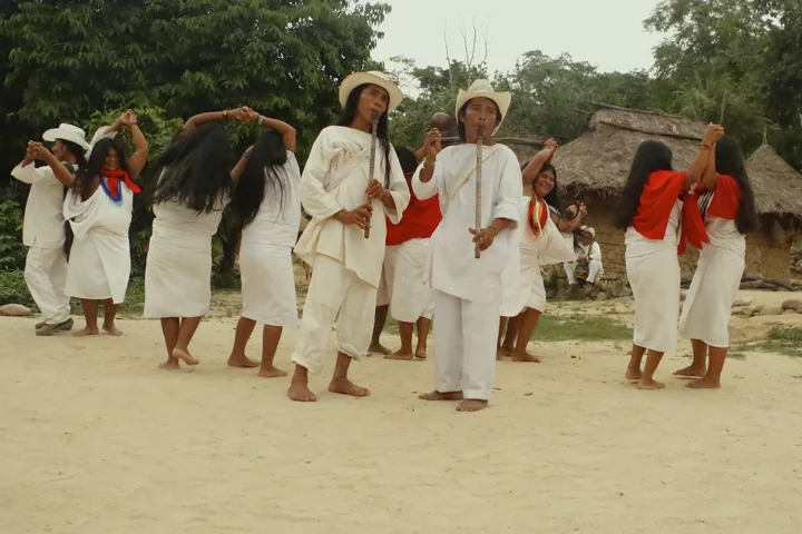 baile wiwa gotsezhy