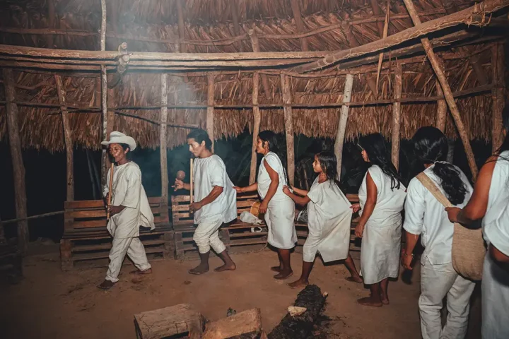 danzas y bailes wiwa