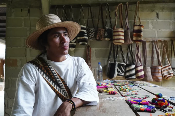guia indigena wiwa gotsezhy