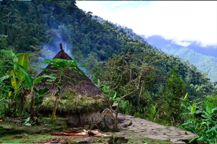 indigenas kogui ciudad perdidac