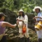 tour de 5 dias a ciudad perdida