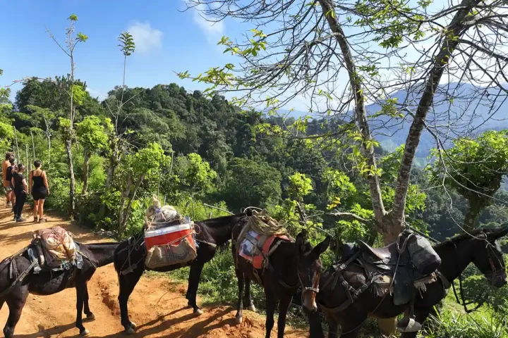 turismo a ciudad perdida