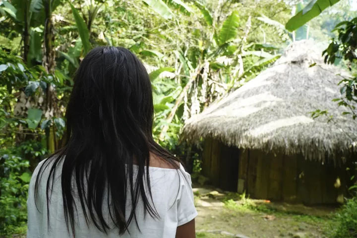 la tagua indigenas wiwa