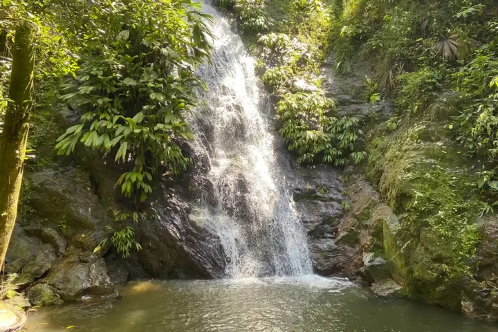 minca santa marta cascada