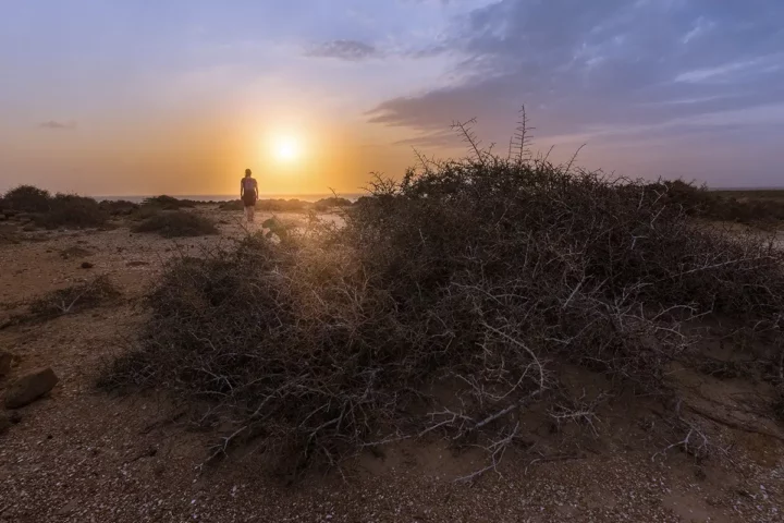 tour a la alta guajira camarones
