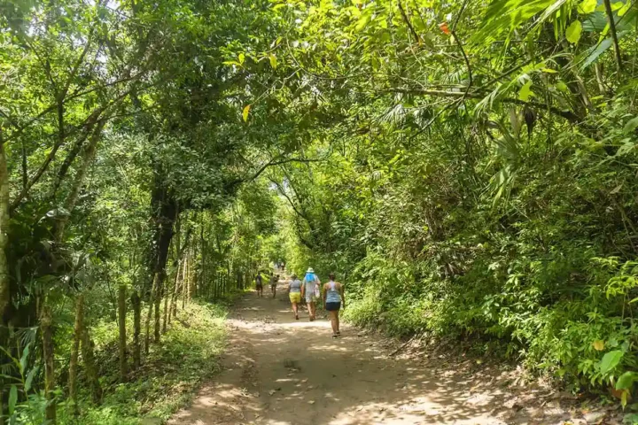 tour a minca la cascada escondida
