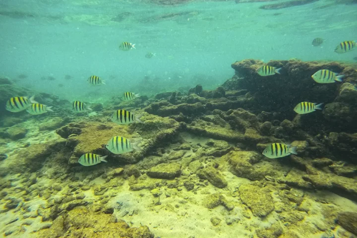 tour piscina natural playa cristal