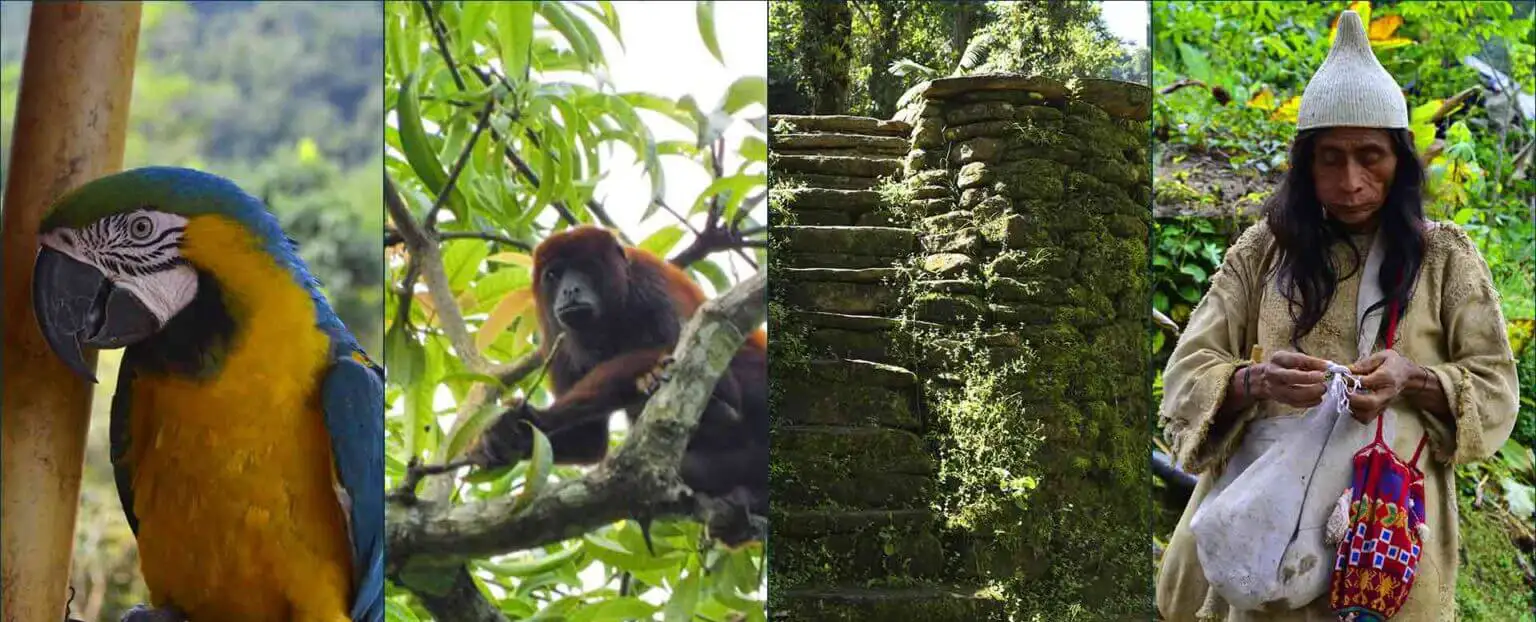 biodiversidad sierra nevada de santa marta