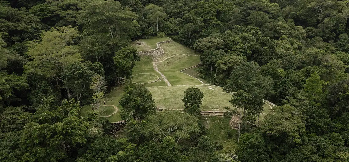bunkuany tayrona