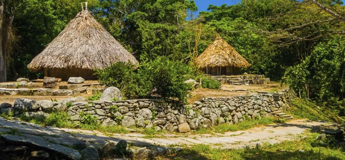 tayronaka