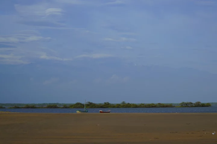 camarones guajira parque flamencos