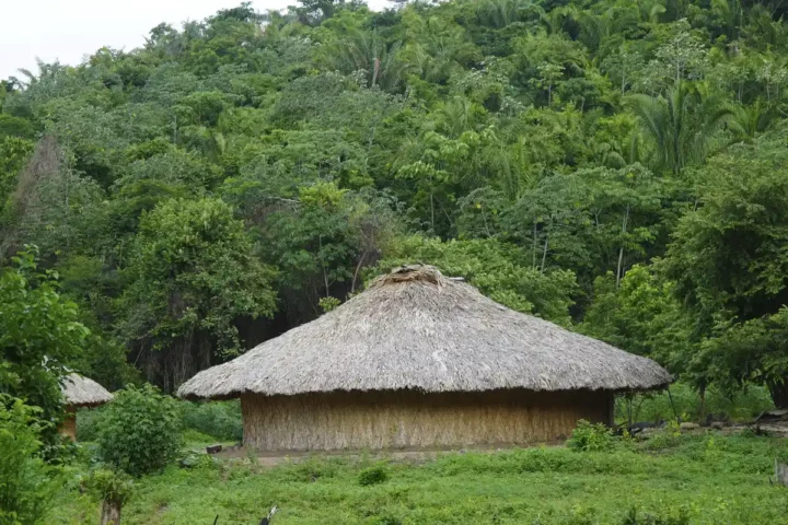 pueblo wiwa dibuya