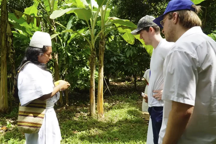 tour arhuacos cacao