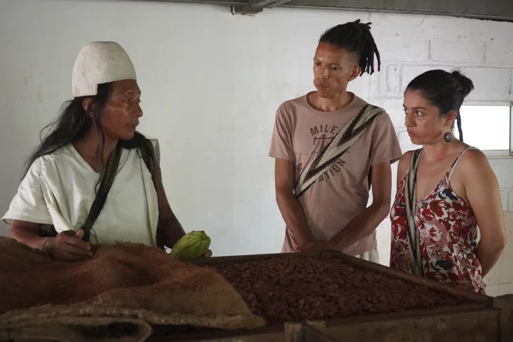 tour cacao arhuacos