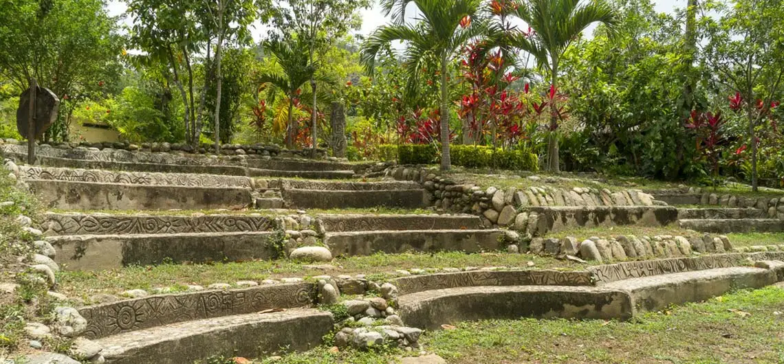 tayronaka