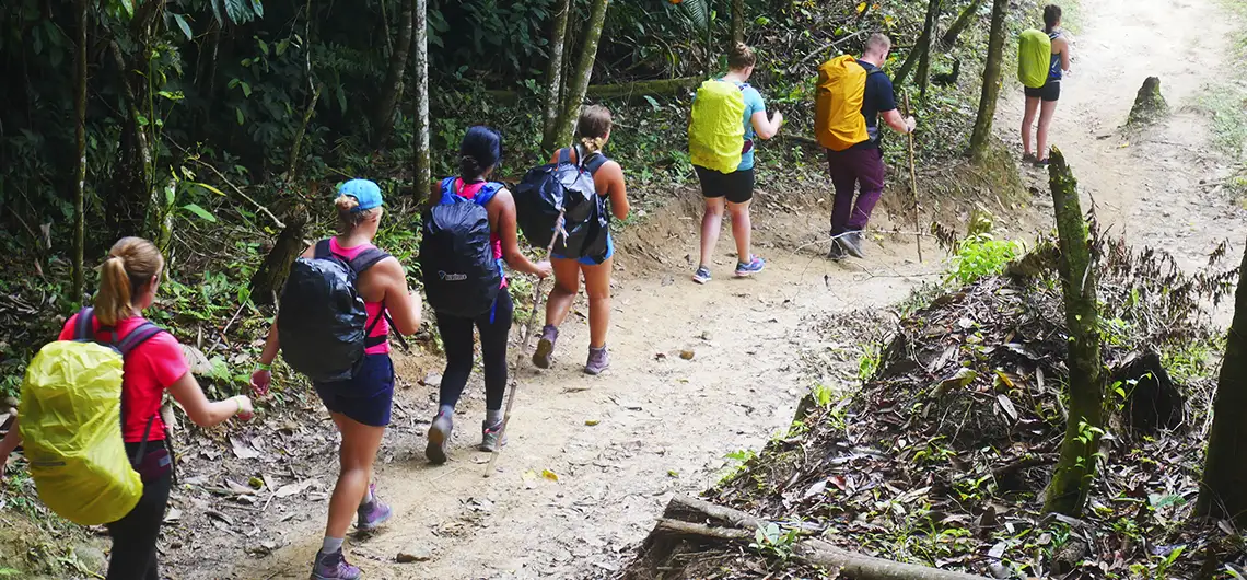 Como Llegar a la Ciudad Perdida en Santa Marta 2025 19 caminata ir a ciudad perdida