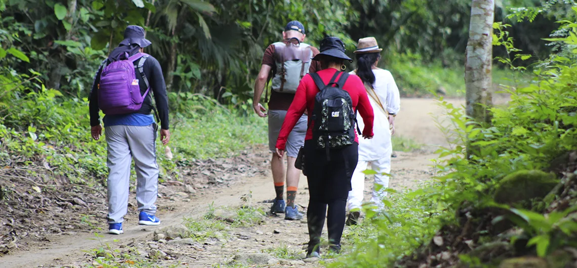 Como Llegar a la Ciudad Perdida en Santa Marta 2025 13 como llegar a cp
