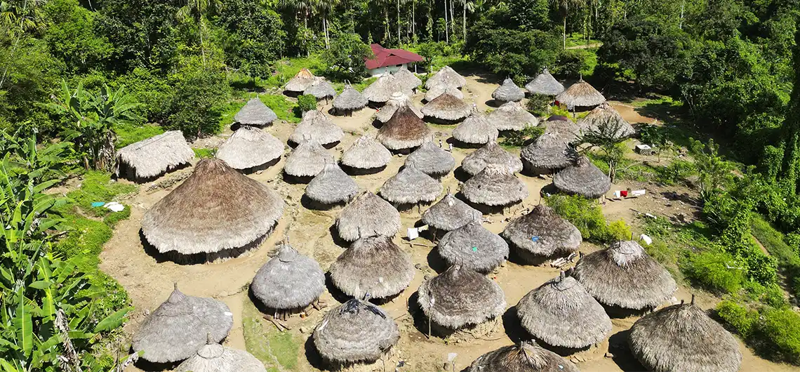 Como Llegar a la Ciudad Perdida en Santa Marta 2025 2 experiencia indigena ciudad perdida