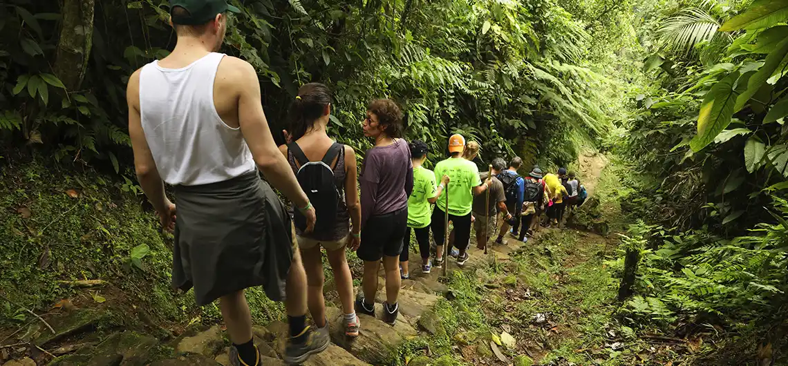 Como Llegar a la Ciudad Perdida en Santa Marta 2025 32 regreso ciudad perdida