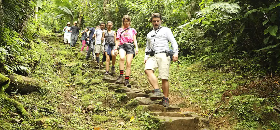 Como Llegar a la Ciudad Perdida en Santa Marta 2025 33 regreso de ciudad perdida