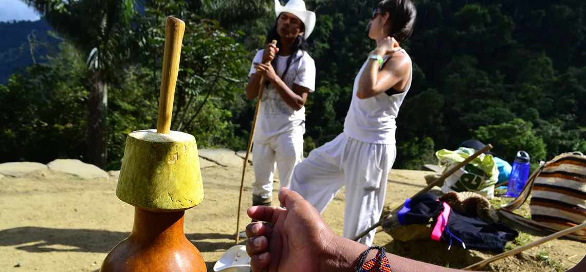 Como Llegar a la Ciudad Perdida en Santa Marta 2025 29 turismo indigena ciudad perdida