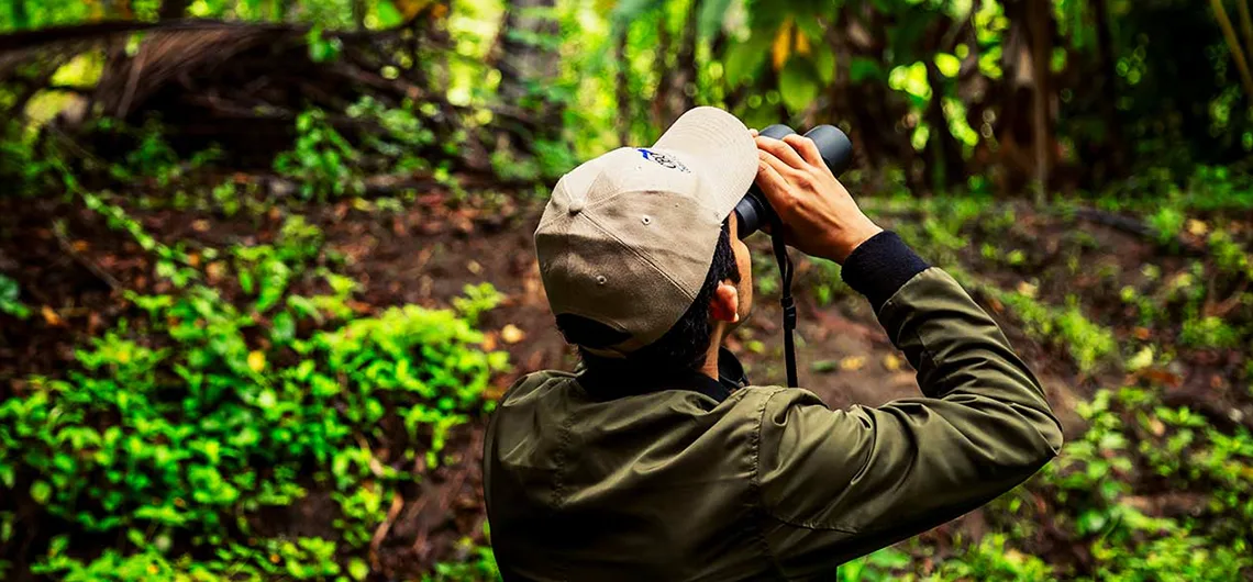 El Avistamiento de Aves en Santa Marta: Una Guía Completa 3 avistamiento de aves santa marta