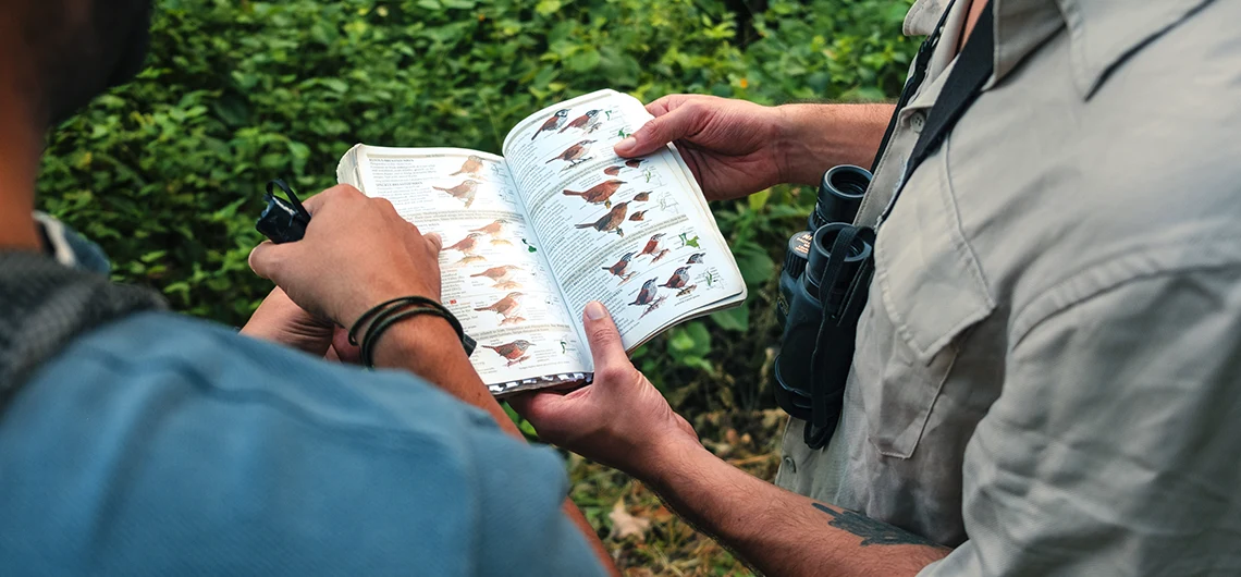 El Avistamiento de Aves en Santa Marta: Una Guía Completa 5 birthwatching santa marta