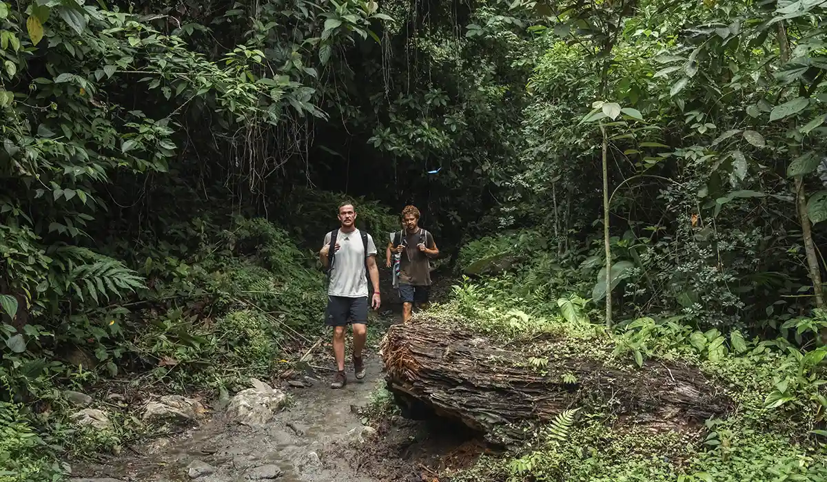 Por qué explorar la Ciudad Perdida con una Compañía Indígena es una Experiencia Transformadora 2 mejor trek a ciudad perdida wiwa tour